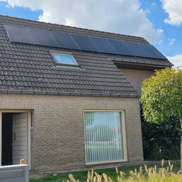 Een project met een beestig goed resultaat! - Foto 1 van 4 - Zedelgem