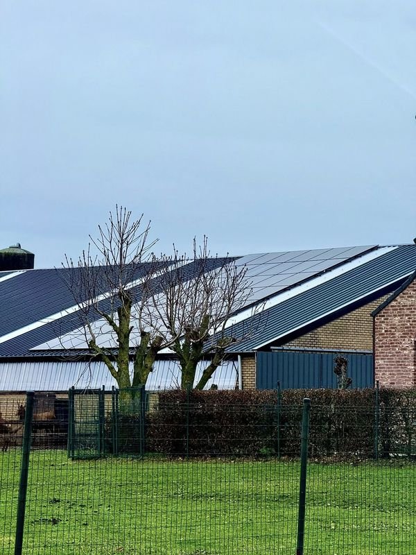 Van worsten draaien naar watts produceren! - Foto 4 van 4 - Damme